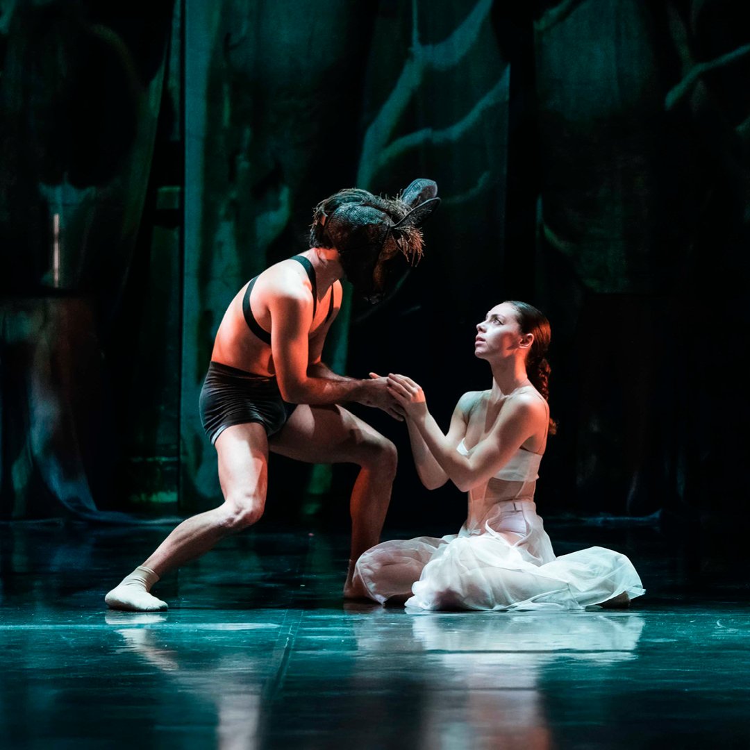 SognoDiUnaNotte_D_ImmSitoAnteprima