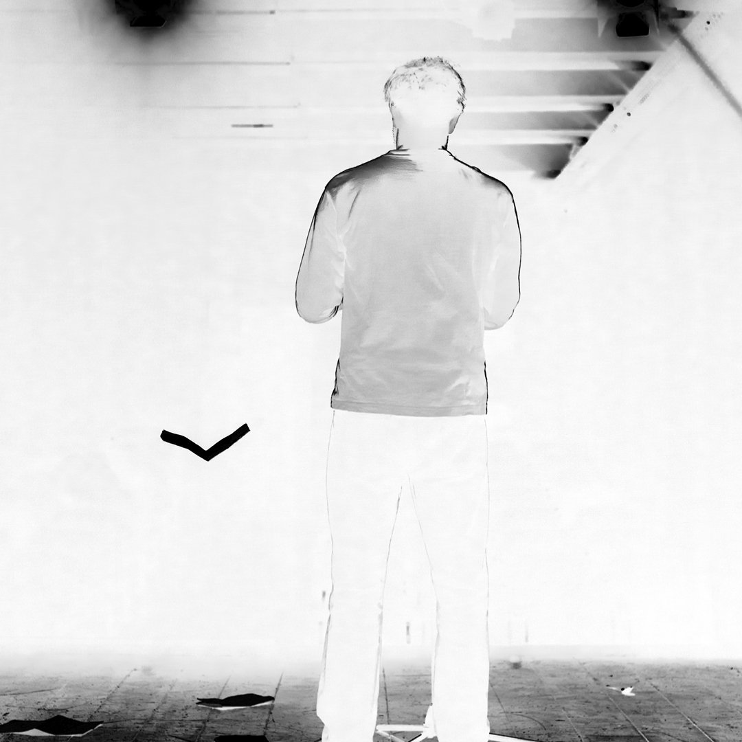 Tirannosauro_Anteprima