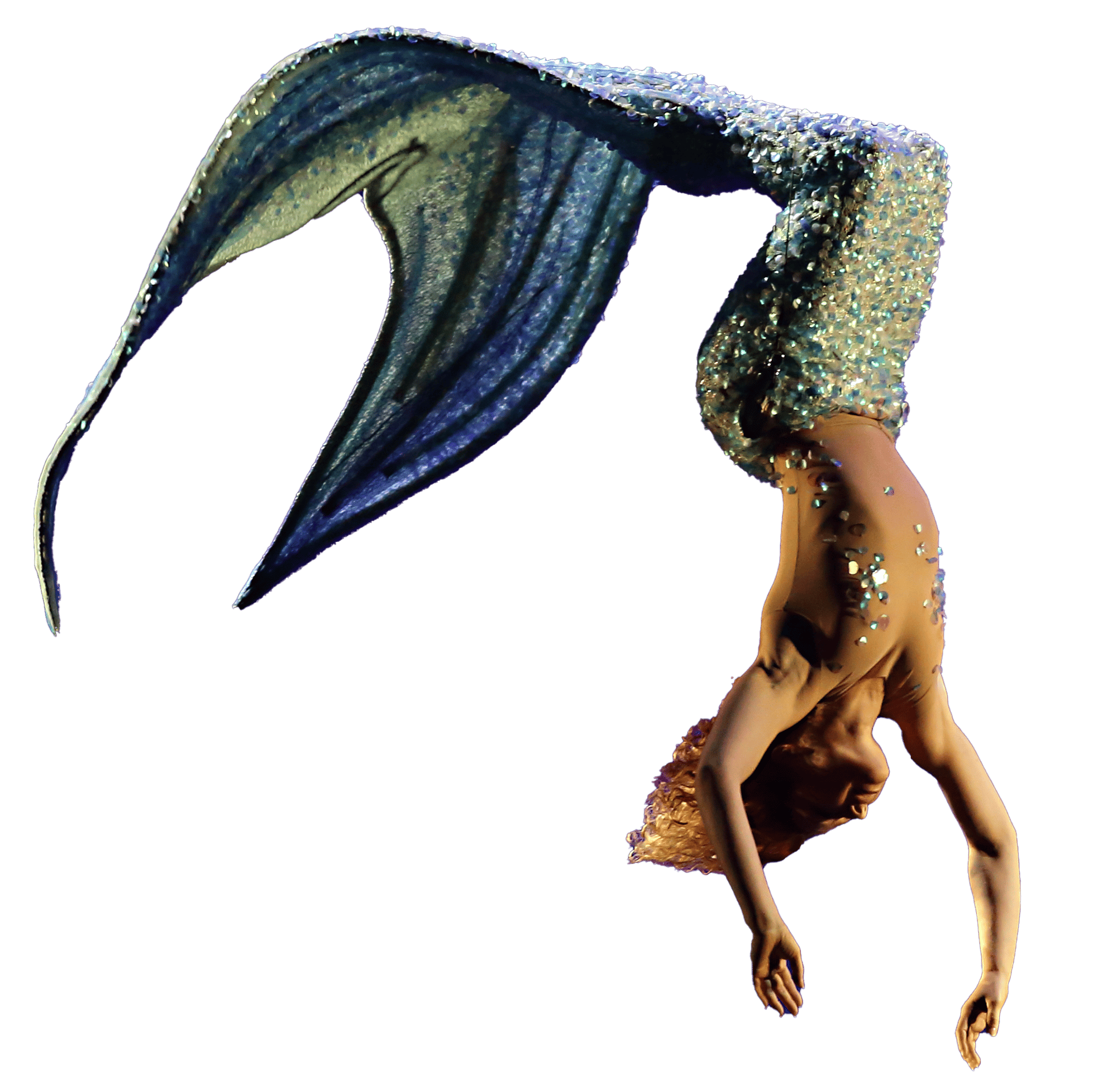 vv_MG_2137_scontorno