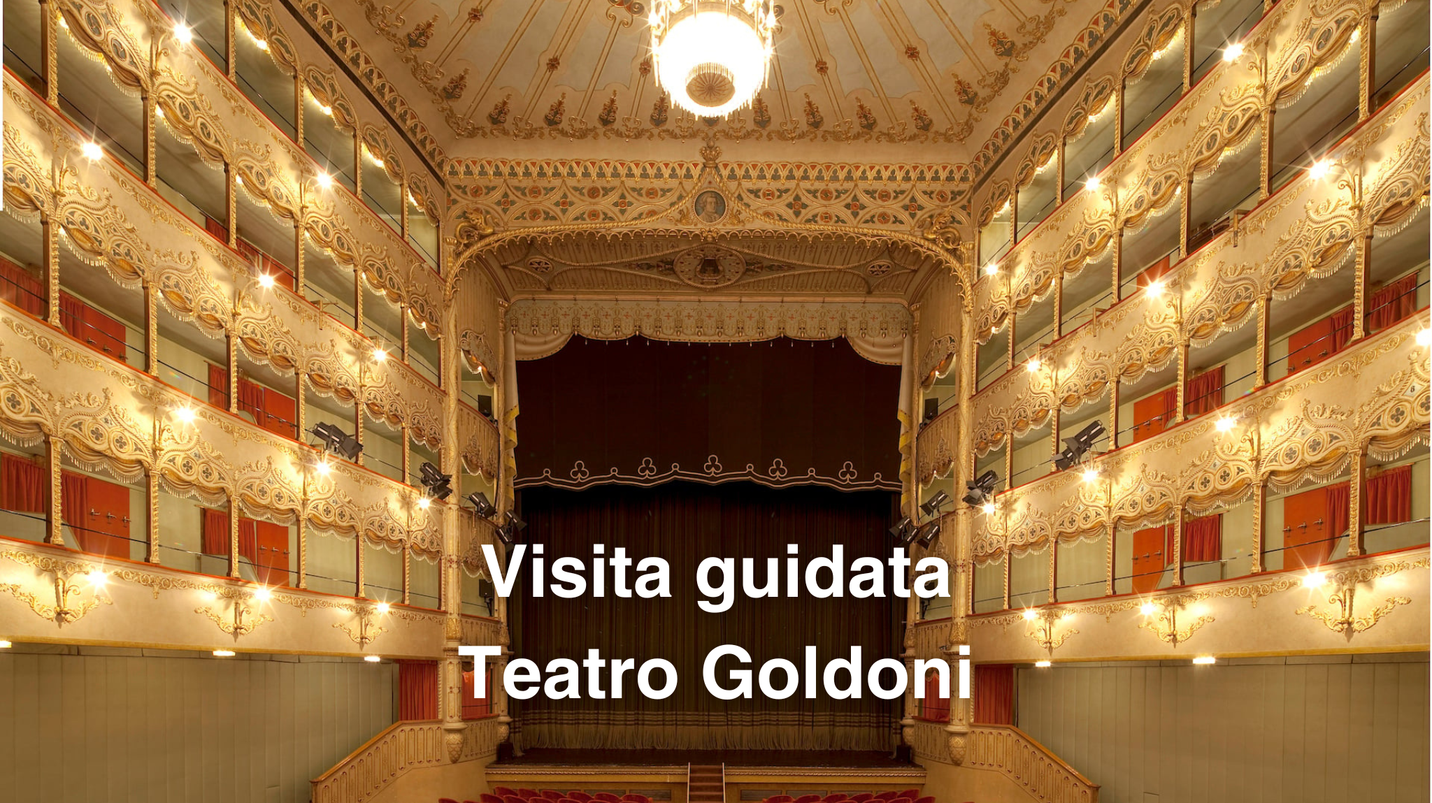 Visita Goldoni