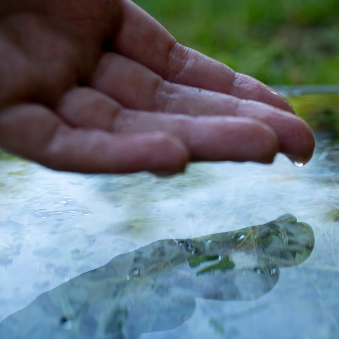 Cinisca_DImmSitoAnteprima