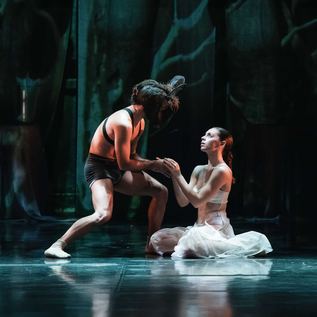 SognoDiUnaNotte_D_ImmSitoAnteprima